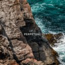 DP-6 - Perpetual