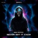 Dub Pepper - Never Got It Know (Original Mix)