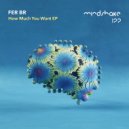 Fer BR - The Sidewinter (Original Mix)