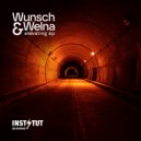 Wunsch & Welna - Into The Tunnel (Original Mix)