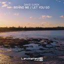 David Surok - Let You Go