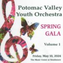 Potomac Valley Youth Orchestra Concert Orchestra & Sylvia C. Lee - After the Rain (Live)