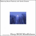 Sleep BGM Mindfulness - Astral Serenity Amidst Neural Waves