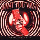 Flux Zone, Gustavo Koch & A.IFF - What You Want (Original Mix)