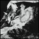 The Halfish Experience - Chicken Chasin'