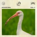 Hexadecimal - Feel It