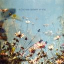 XU - as the days grow shorter ()