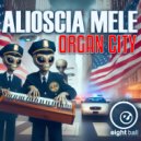 Alioscia Mele - Organ City