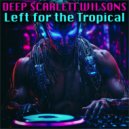 Deep Scarlett Wilsons - Damp in the Temporary