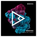 Andino - Blinker Remedy