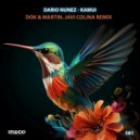 Dario Nunez - Kamui