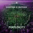 Rooted - Perplexcity