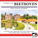 Jörg Metzger & Dieter Goldmann - Beethoven - 7 Bagatells Op.33 ()