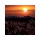 DANKORG - SUNSET ()