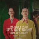 Mr. Belt & Wezol - It's Not Right But It's Okay