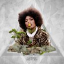 Diego Play & Bluee - Microjazz