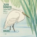 Juan Domecq - Lakeside Serenity (BiGz Remix)