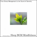 Sleep BGM Mindfulness - Finding Solace with Lullabies of Sound Therapy for Sleep (Original Mix)