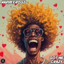 Harvey Ross - Got Me Crazy (Original Mix)