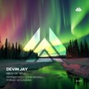 Devin Jay - Mess of Soul