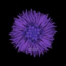 Holchin - Valeriia (Original Mix)