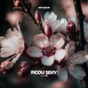 Groovibe - Ficou Sexy (Original Mix)