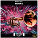 Matteo Vitale - Be Like (Radio Edit)