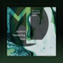 Jochem Hamerling - Aquila (Radio Edit)