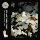 Stelios Vassiloudis - The Things You Say (Original Mix)