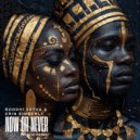 Boddhi Satva, Erin Kimberly - Now Or Never (Manoo Remix)