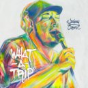 Johnny Cosmic - What A Trip ()