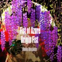 Shoko Rasputin - Origin Fist (Original Mix)