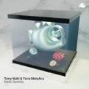 Tomy Wahl, Terra Melodica - Shadows In The Void (Original Mix)
