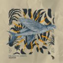 Meadow Dawn - Phosphenes