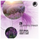 ZB - The Beautiful Stranger