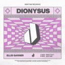 Ellis Garner - Like This (Original Mix)