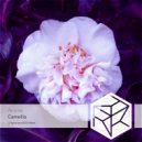 Anicille - Camellia (0555 Extended Remix)