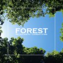 Mr_HoLoDeTs & Cerrera D\'Ark - Forest (Speed Up+)