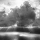 Norwhalea - Rise ()