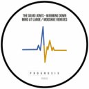 The David Jones - Warming Down (Mooskke Remix)