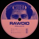 Rawdio - Where Did The Cat Go? (Original Mix)