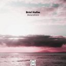 Briel Hollm - Generations (Briel Hollm & Gabriel Slick Remix)