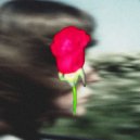 Glen Echo - Our Roses ()