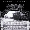 12-Riot & Tmut - WET MOUNTAINS ()