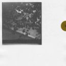 young.vishnu & Cars10 - Schattenspiel (feat. Cars10)