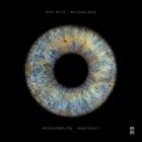 NICI NICE - Introversion