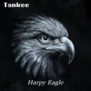 TanKee - Electric Storm (Original Mix)