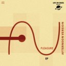 Afternoon Version - Pleasure (Original Mix)