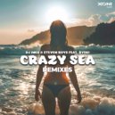 DJ Inox & Steven Roys feat. Żyski - Crazy Sea (Extended Remixes) (ORZ3U Extended Remix)