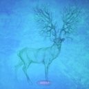 Walter Kurtz - Haptic Devices (Original Mix)